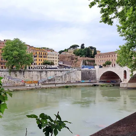 The Blu And Rome